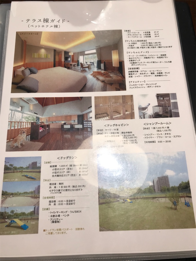 f:id:mlc510:20201002182532j:image