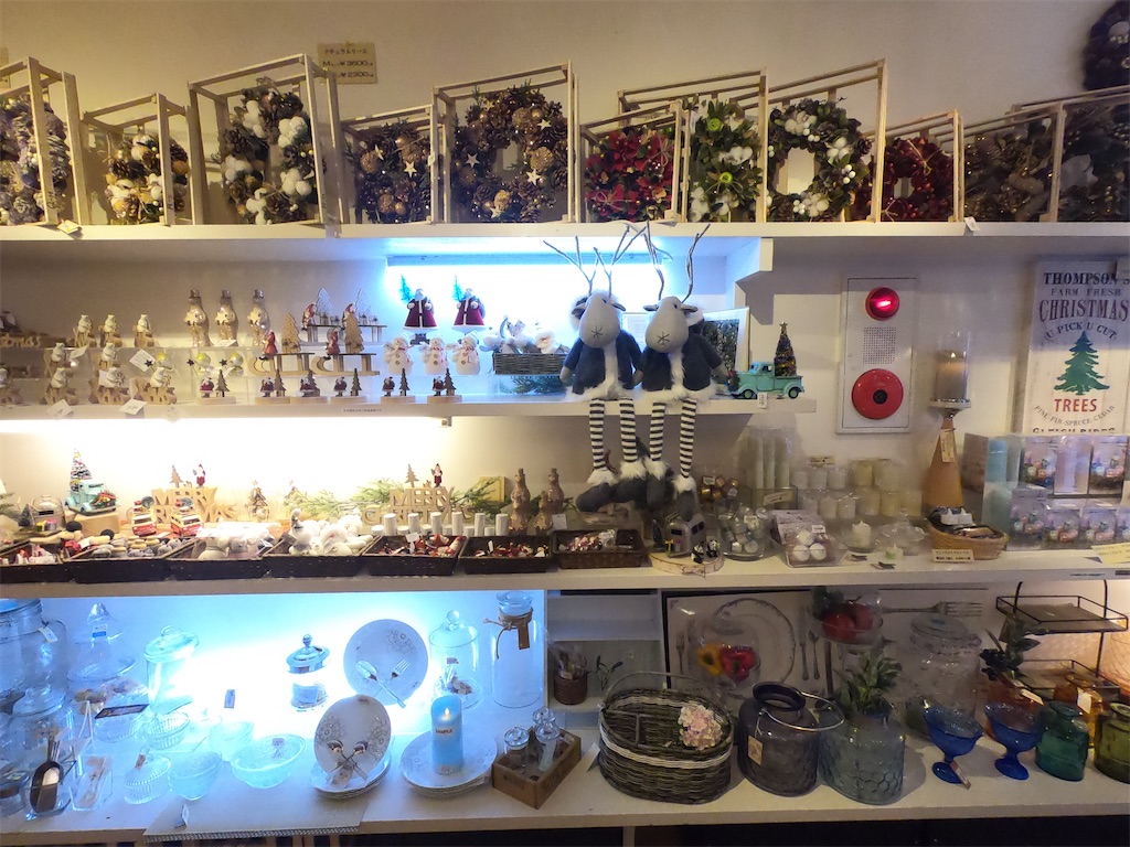 f:id:mlc510:20201005225407j:image