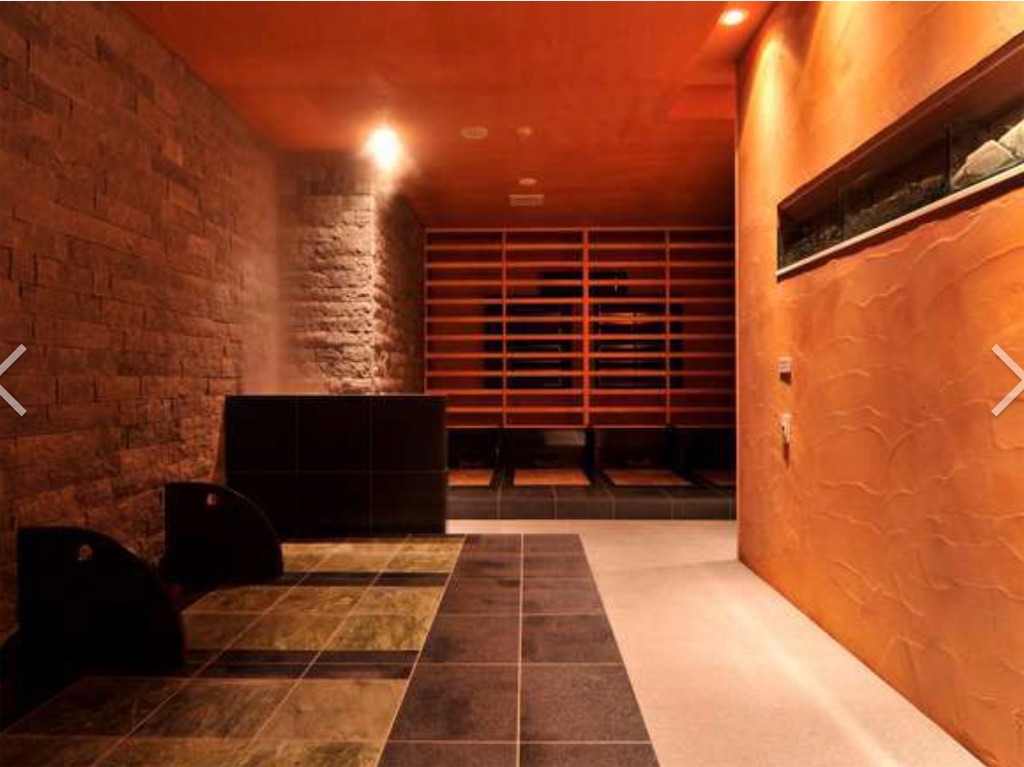 f:id:mlc510:20221119112825j:image