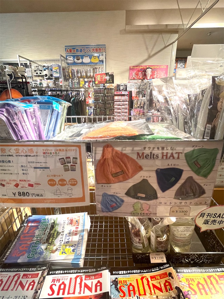 f:id:mlc510:20221119114235j:image