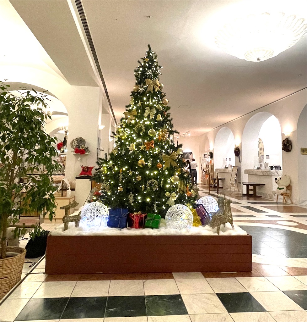 f:id:mlc510:20221203194142j:image