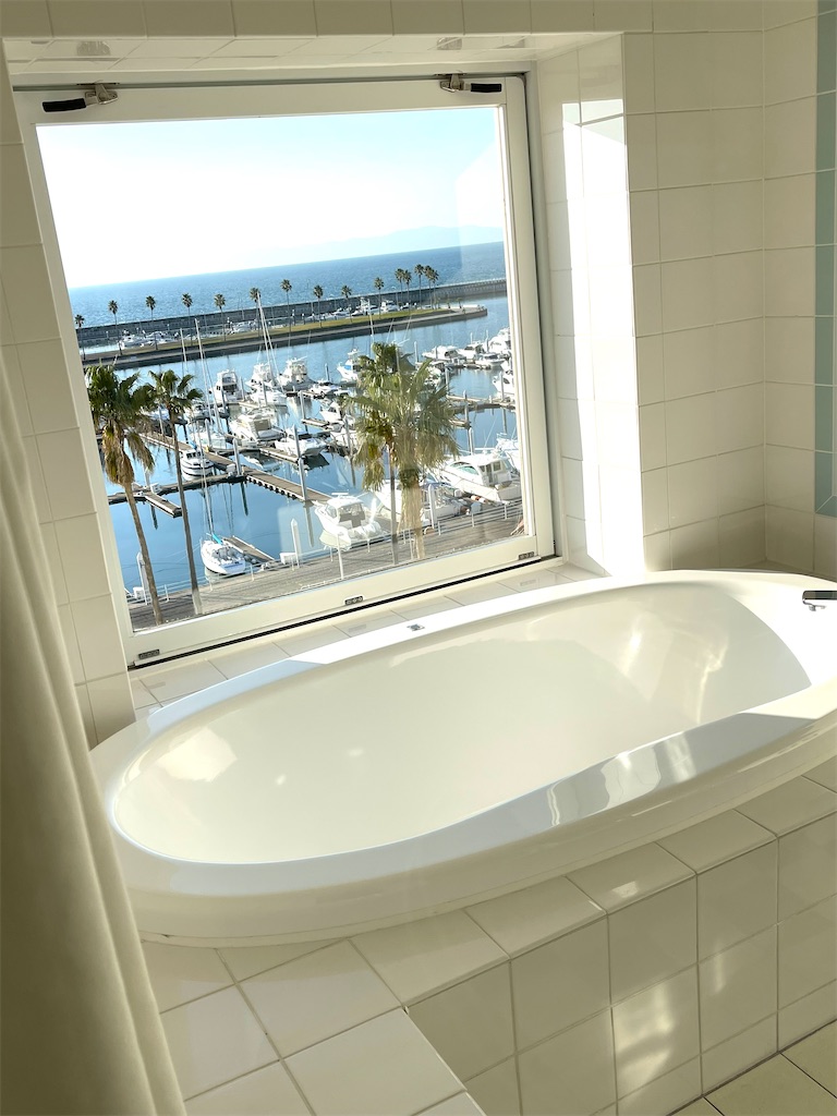 f:id:mlc510:20221203194657j:image