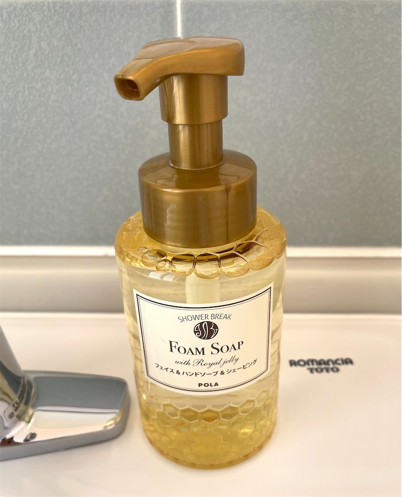 f:id:mlc510:20221203195050j:image