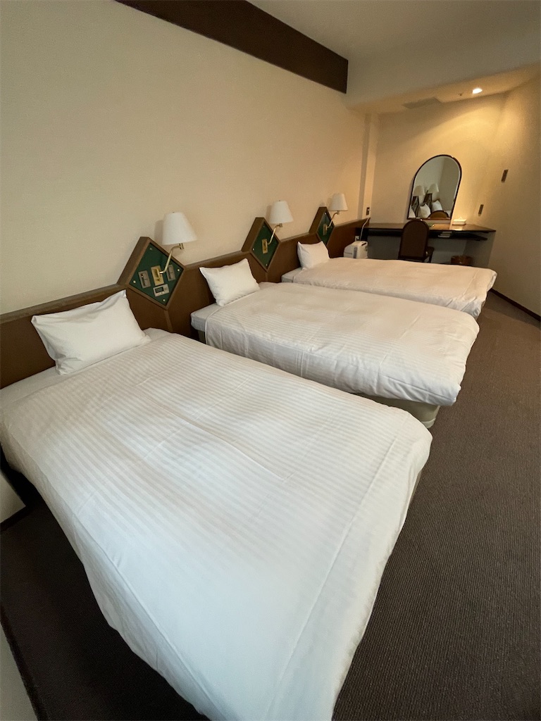 f:id:mlc510:20221217132126j:image