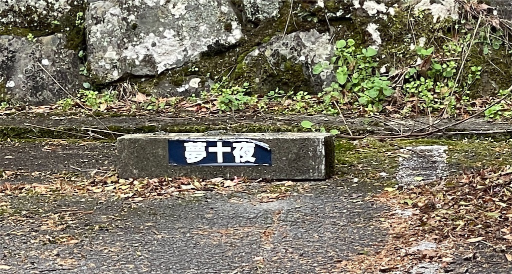 f:id:mlc510:20230108220347j:image f:id:mlc510:20230108220347j:image