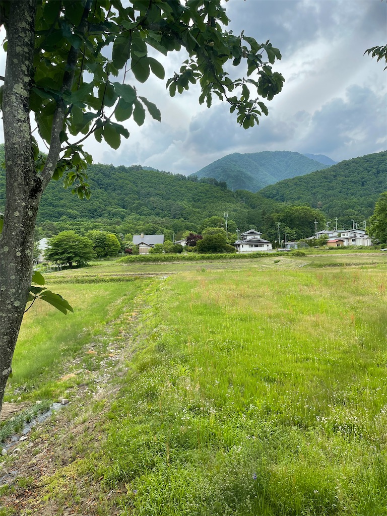f:id:mlc510:20230701134326j:image
