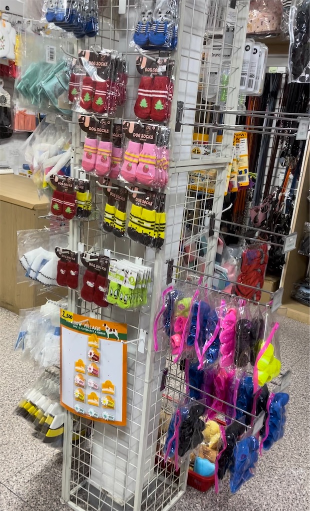 f:id:mlc510:20230905111140j:image f:id:mlc510:20230905111140j:image