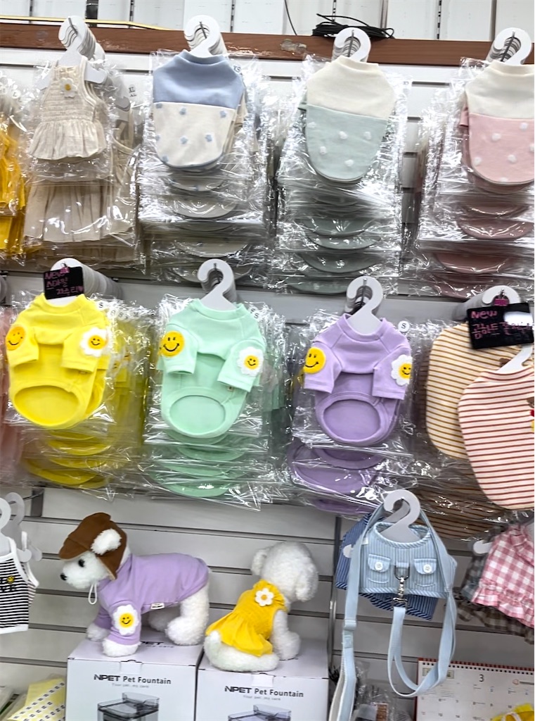 f:id:mlc510:20230905111506j:image f:id:mlc510:20230905111506j:image