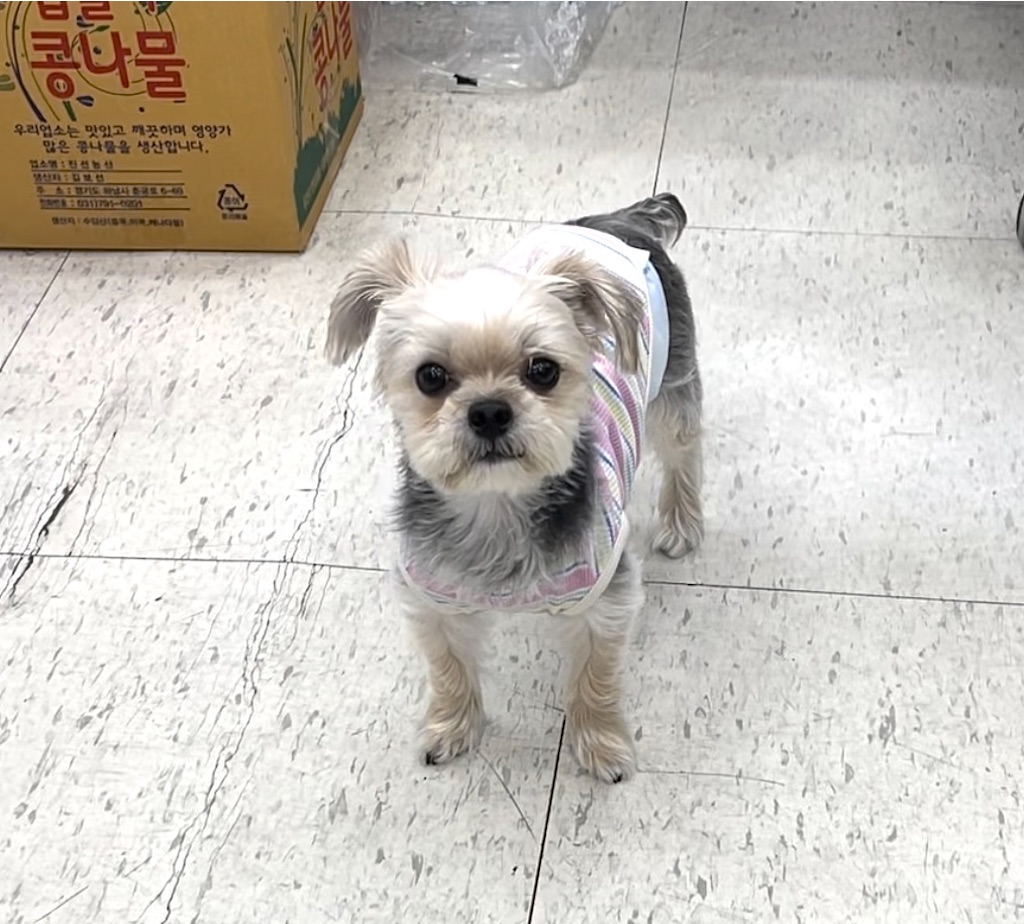 f:id:mlc510:20230905111513j:image f:id:mlc510:20230905111513j:image