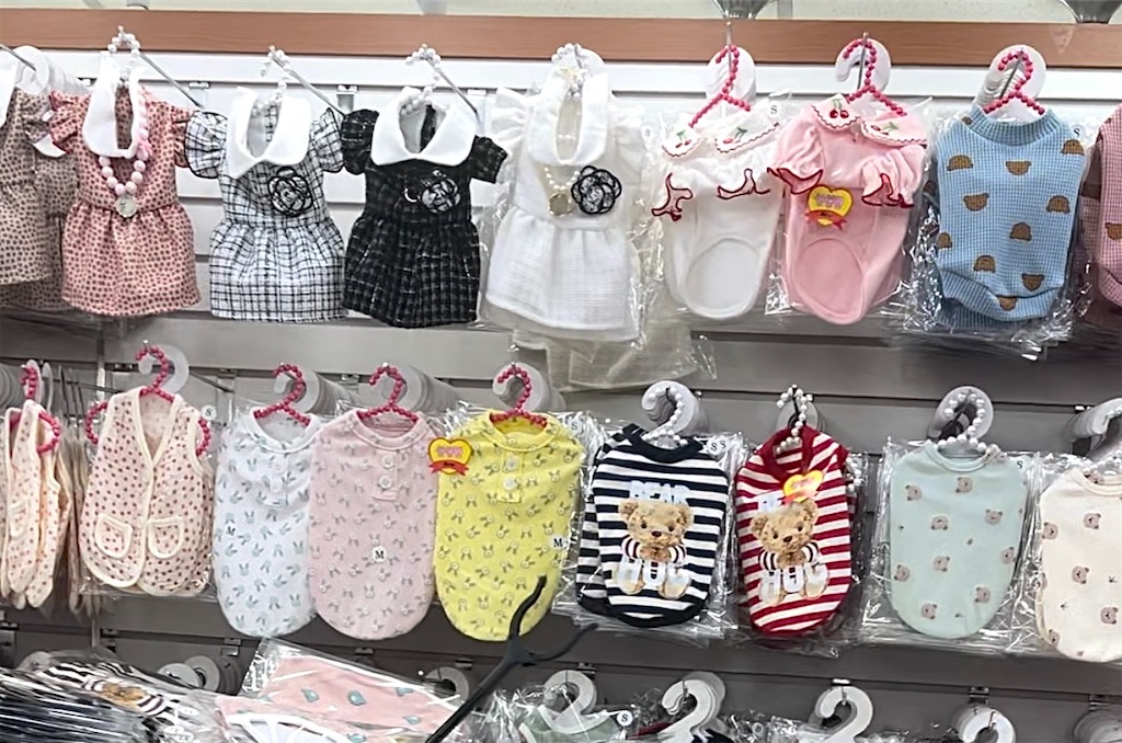 f:id:mlc510:20230905111558j:image f:id:mlc510:20230905111558j:image