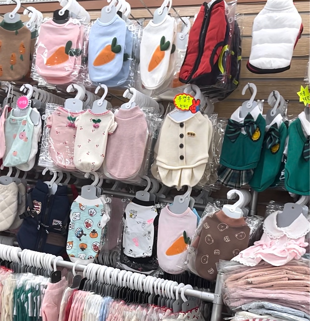 f:id:mlc510:20230905111607j:image f:id:mlc510:20230905111607j:image