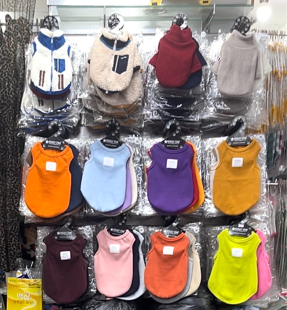 f:id:mlc510:20230905111617j:image f:id:mlc510:20230905111617j:image