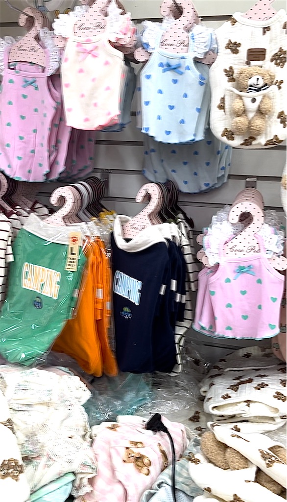 f:id:mlc510:20230905112530j:image f:id:mlc510:20230905112530j:image