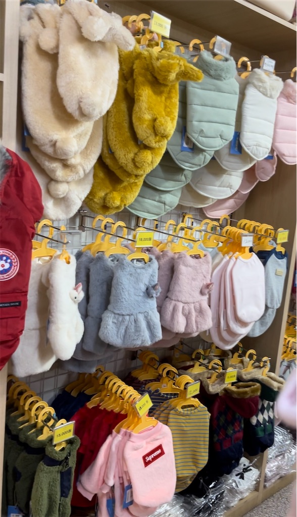 f:id:mlc510:20230905184844j:image f:id:mlc510:20230905184844j:image