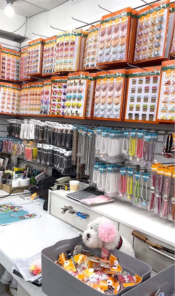 f:id:mlc510:20230905195626j:image f:id:mlc510:20230905195626j:image