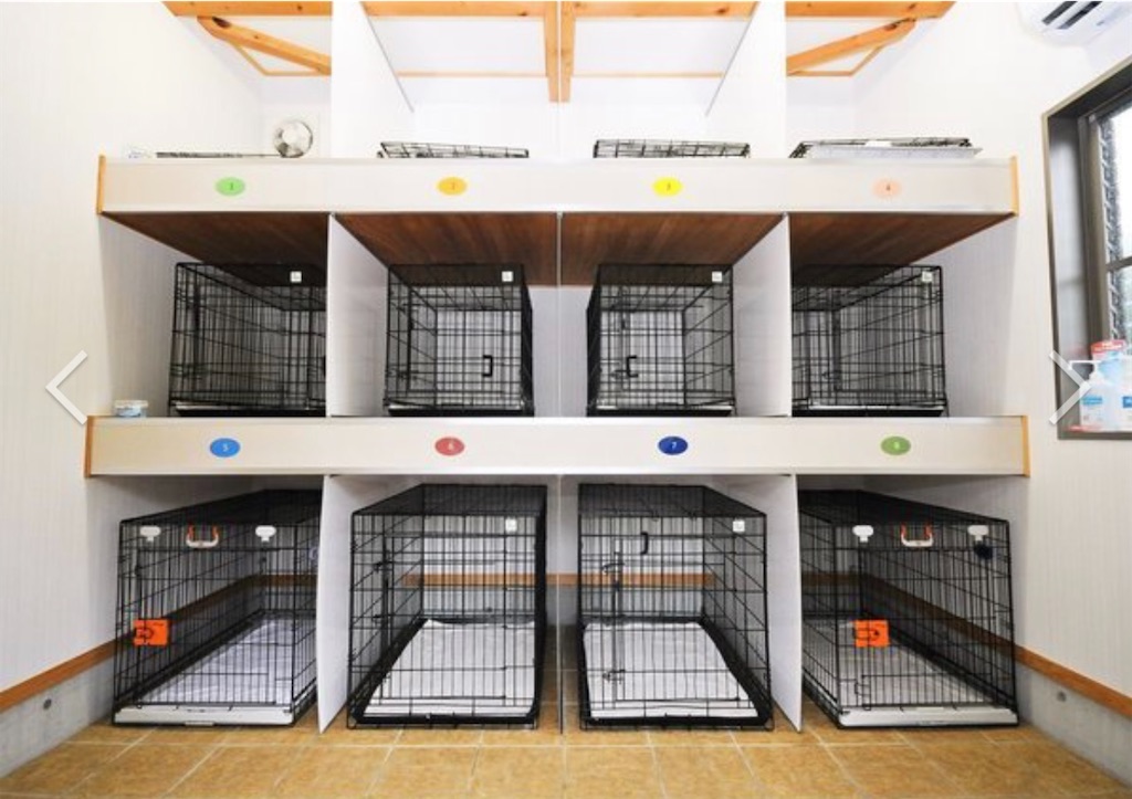 f:id:mlc510:20231012201943j:image f:id:mlc510:20231012201943j:image