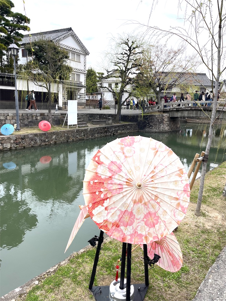 f:id:mlc510:20240703215008j:image