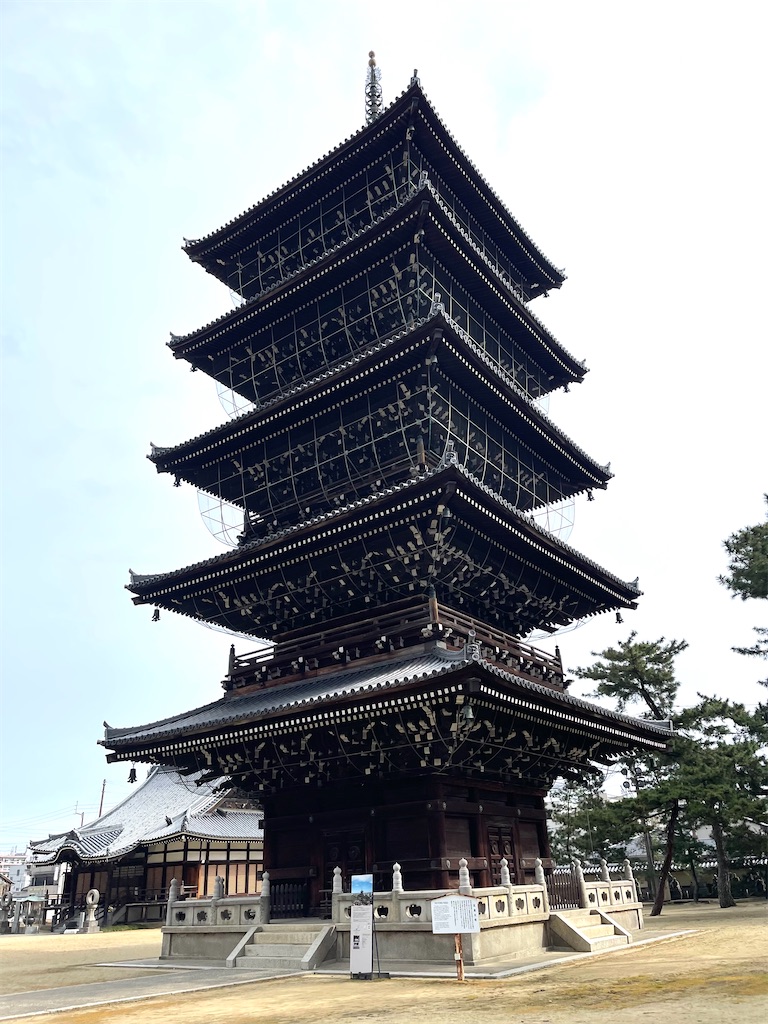 f:id:mlc510:20240703215026j:image