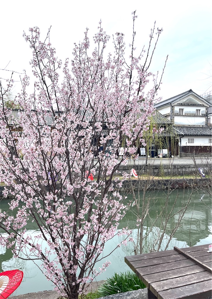 f:id:mlc510:20240703215037j:image