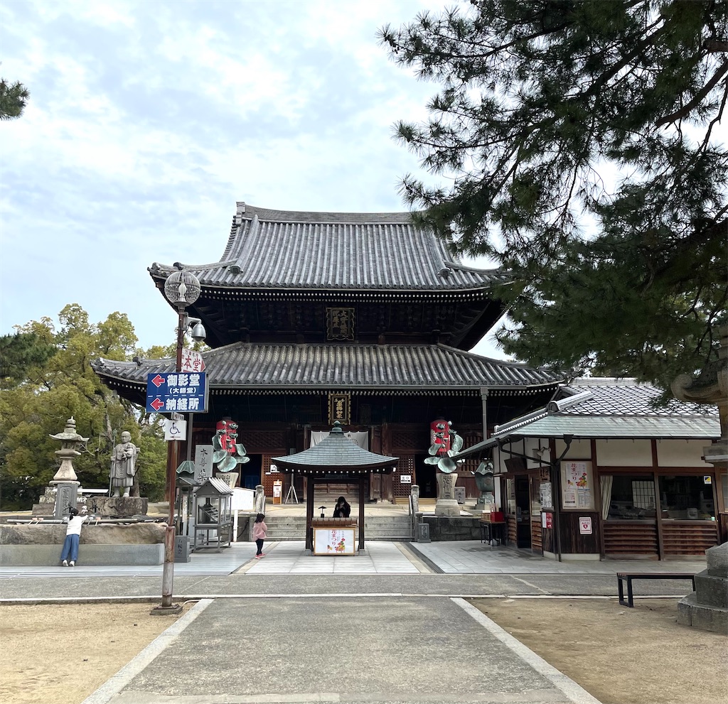 f:id:mlc510:20240703215152j:image