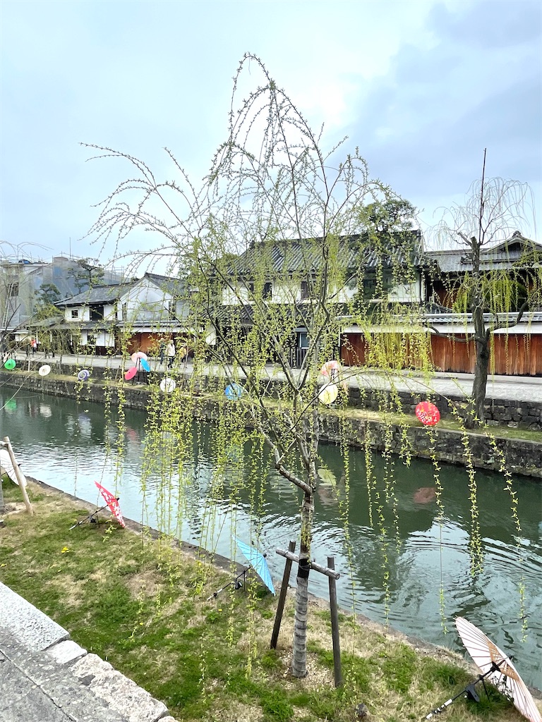 f:id:mlc510:20240703215230j:image