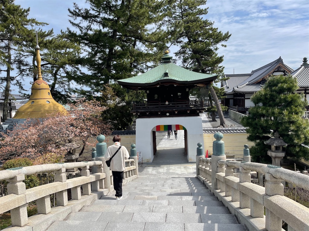 f:id:mlc510:20240703215232j:image