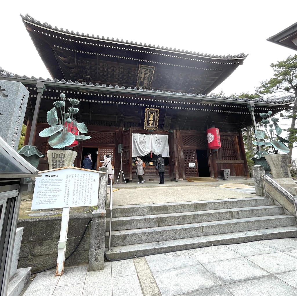 f:id:mlc510:20240703215237j:image