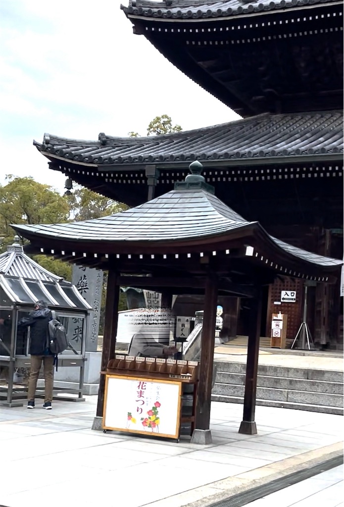 f:id:mlc510:20240706104127j:image
