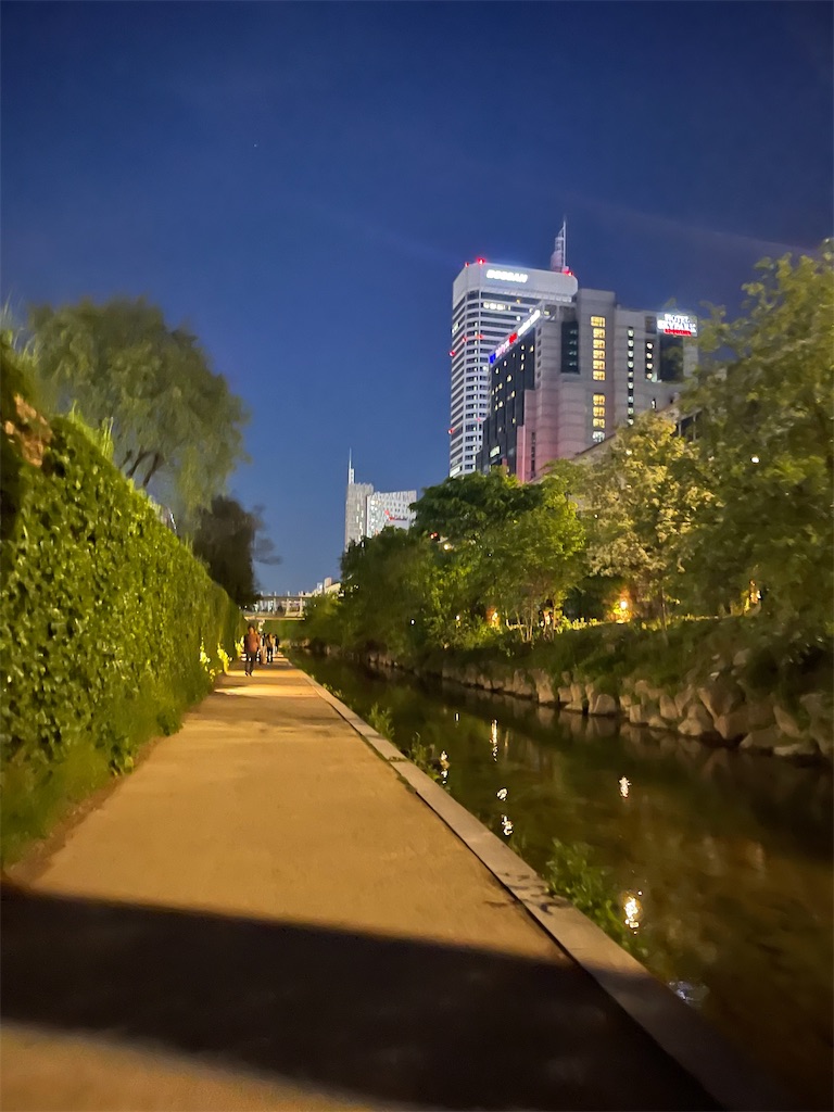 f:id:mlc510:20240710151533j:image