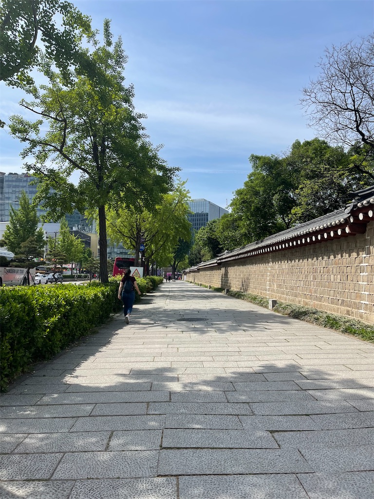f:id:mlc510:20240713131754j:image