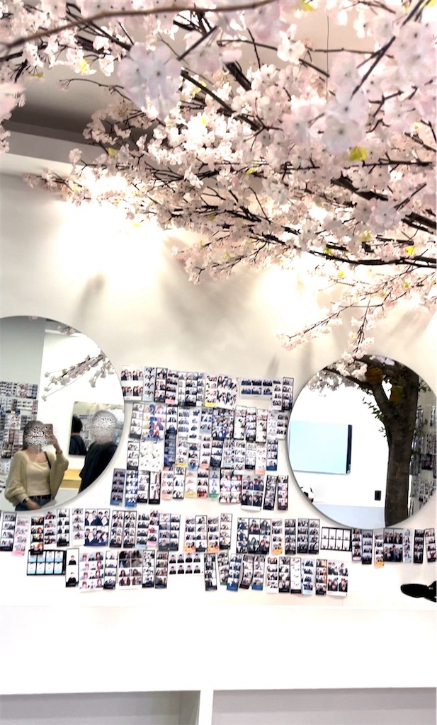 f:id:mlc510:20240730160509j:image