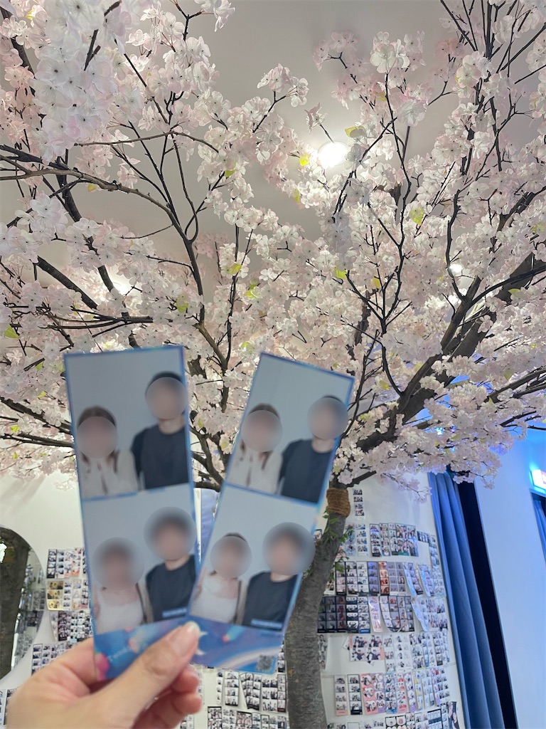 f:id:mlc510:20240730160541j:image