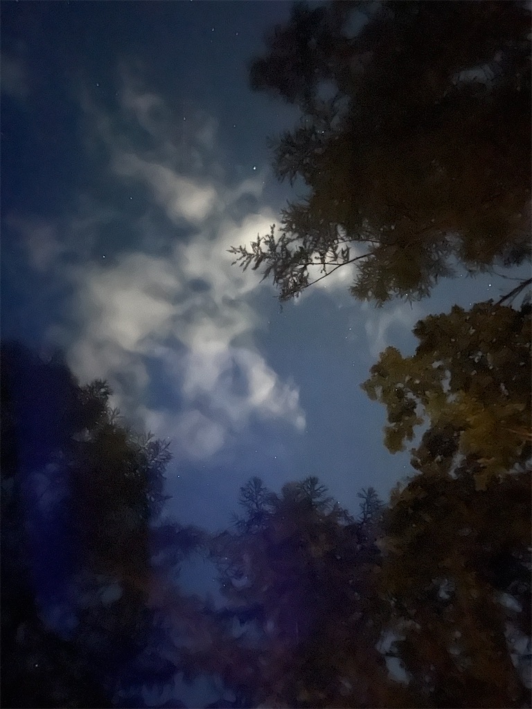 f:id:mlc510:20241023170710j:image