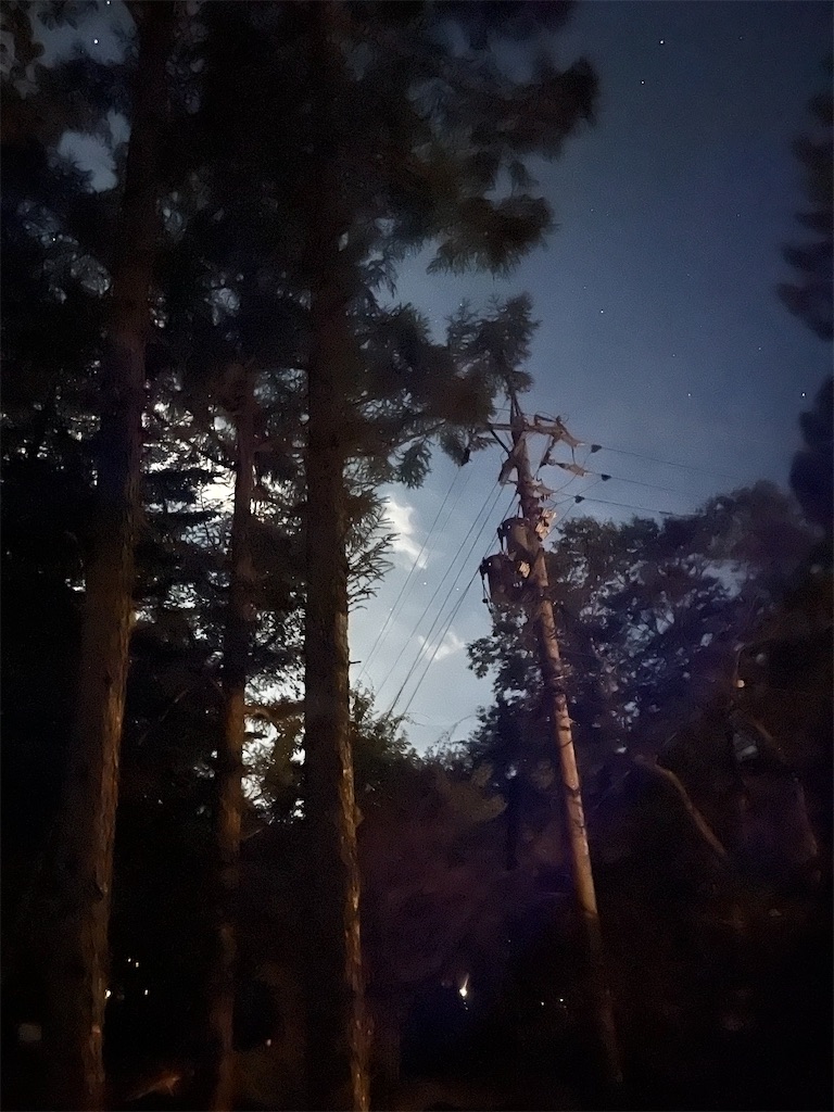 f:id:mlc510:20241023170741j:image