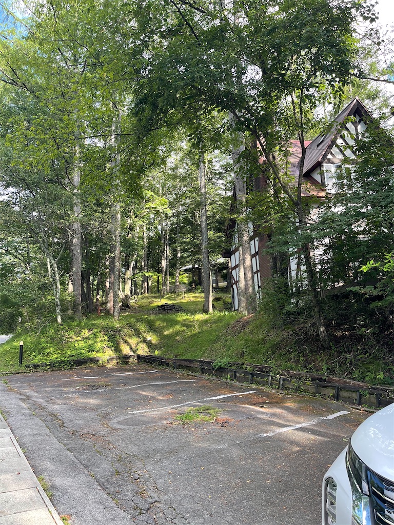 f:id:mlc510:20241023170752j:image