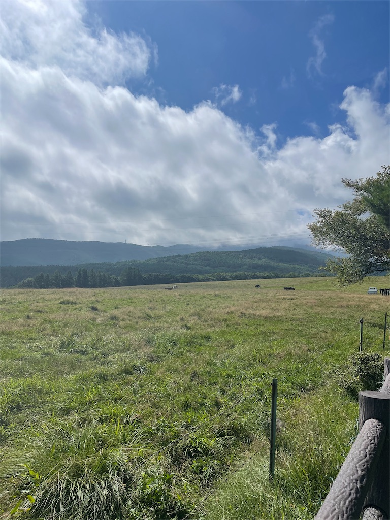 f:id:mlc510:20241023170933j:image