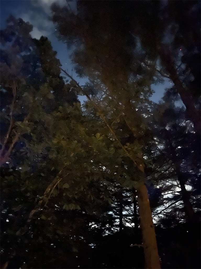 f:id:mlc510:20241023171005j:image