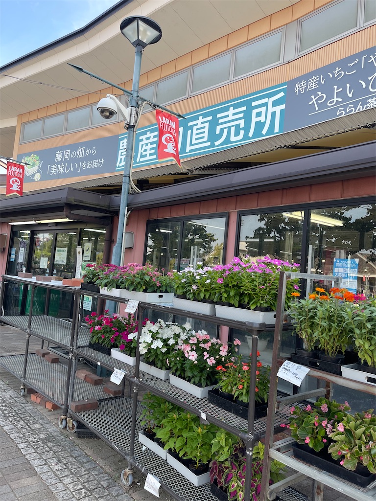 f:id:mlc510:20241024191104j:image