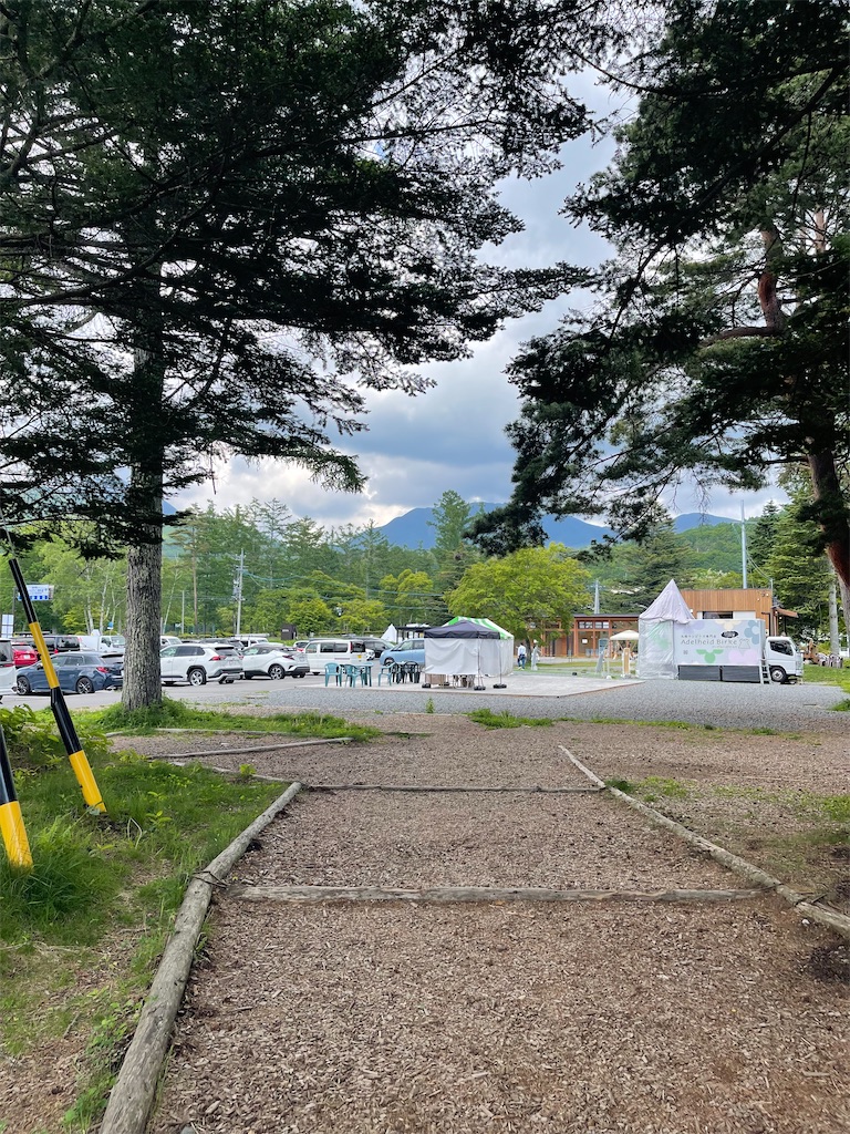 f:id:mlc510:20241105190916j:image
