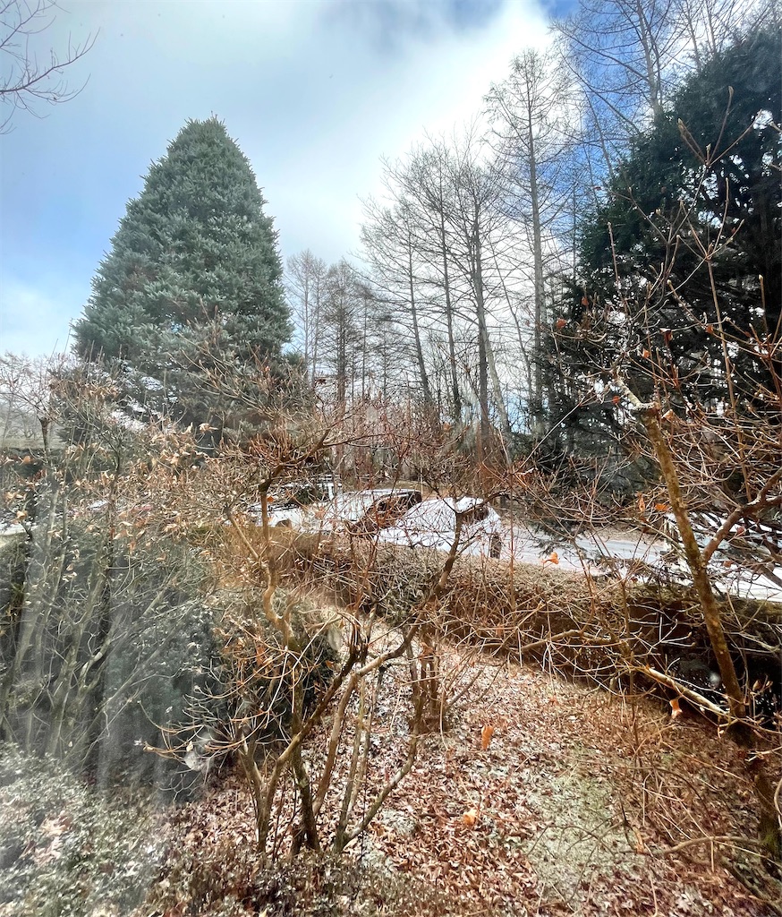 f:id:mlc510:20250402151626j:image
