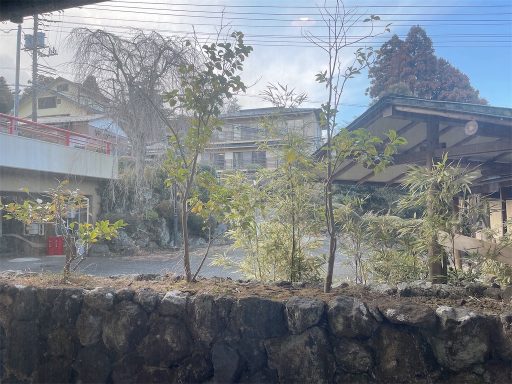 f:id:mlc510:20250516221916j:image