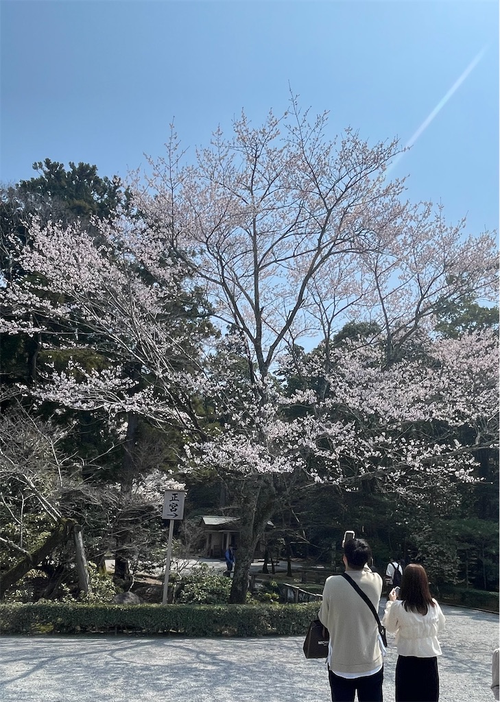f:id:mlc510:20250610194500j:image