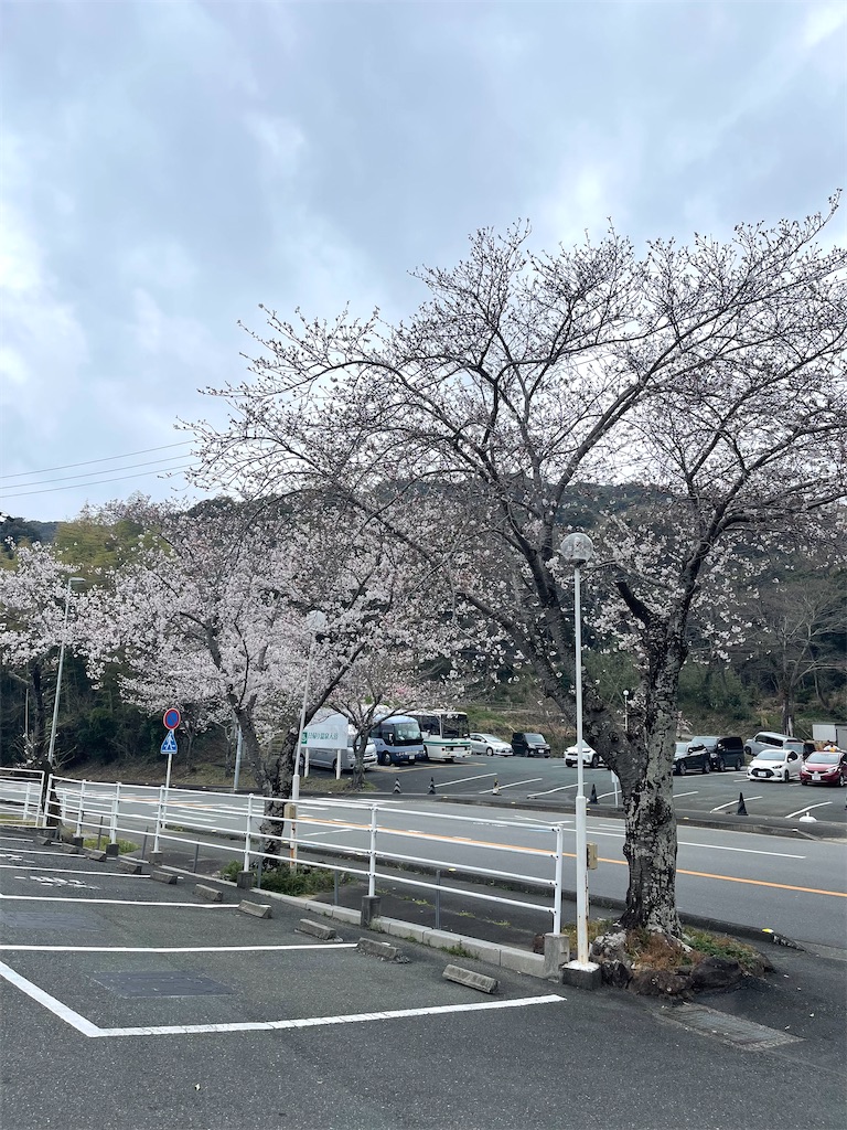 f:id:mlc510:20250614135720j:image
