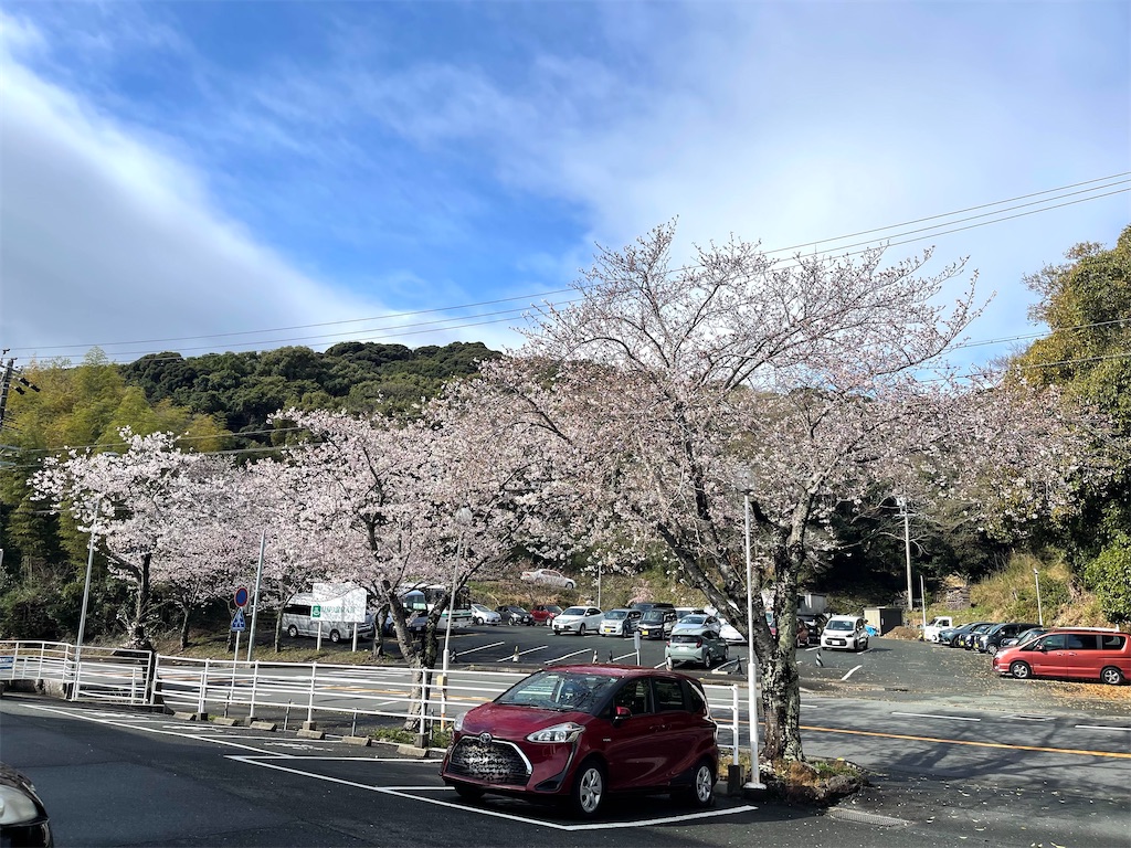 f:id:mlc510:20250614140028j:image