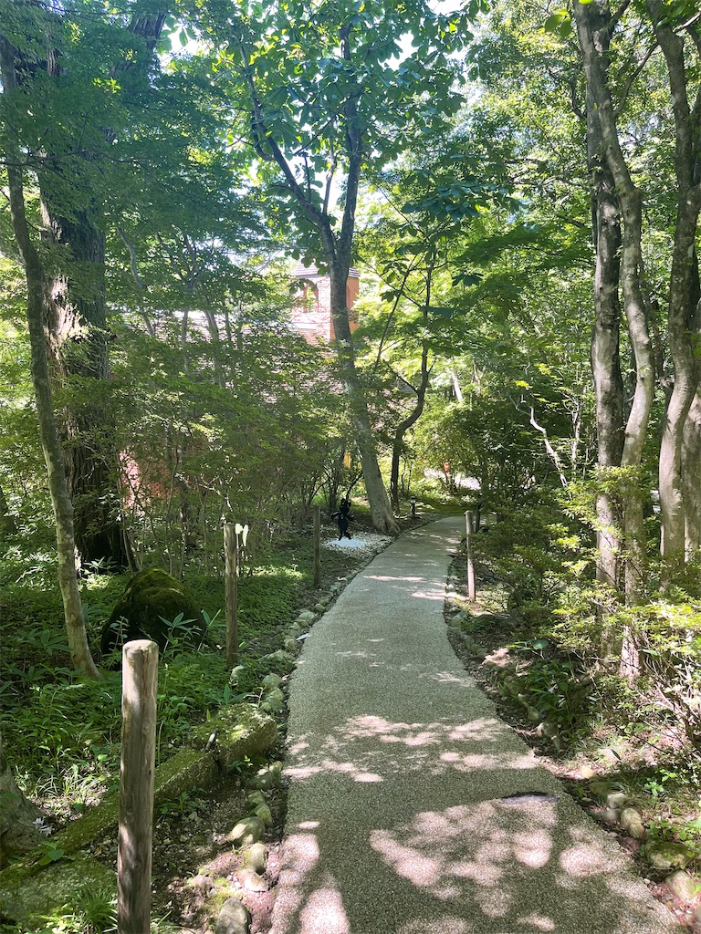 f:id:mlc510:20251122134553j:image