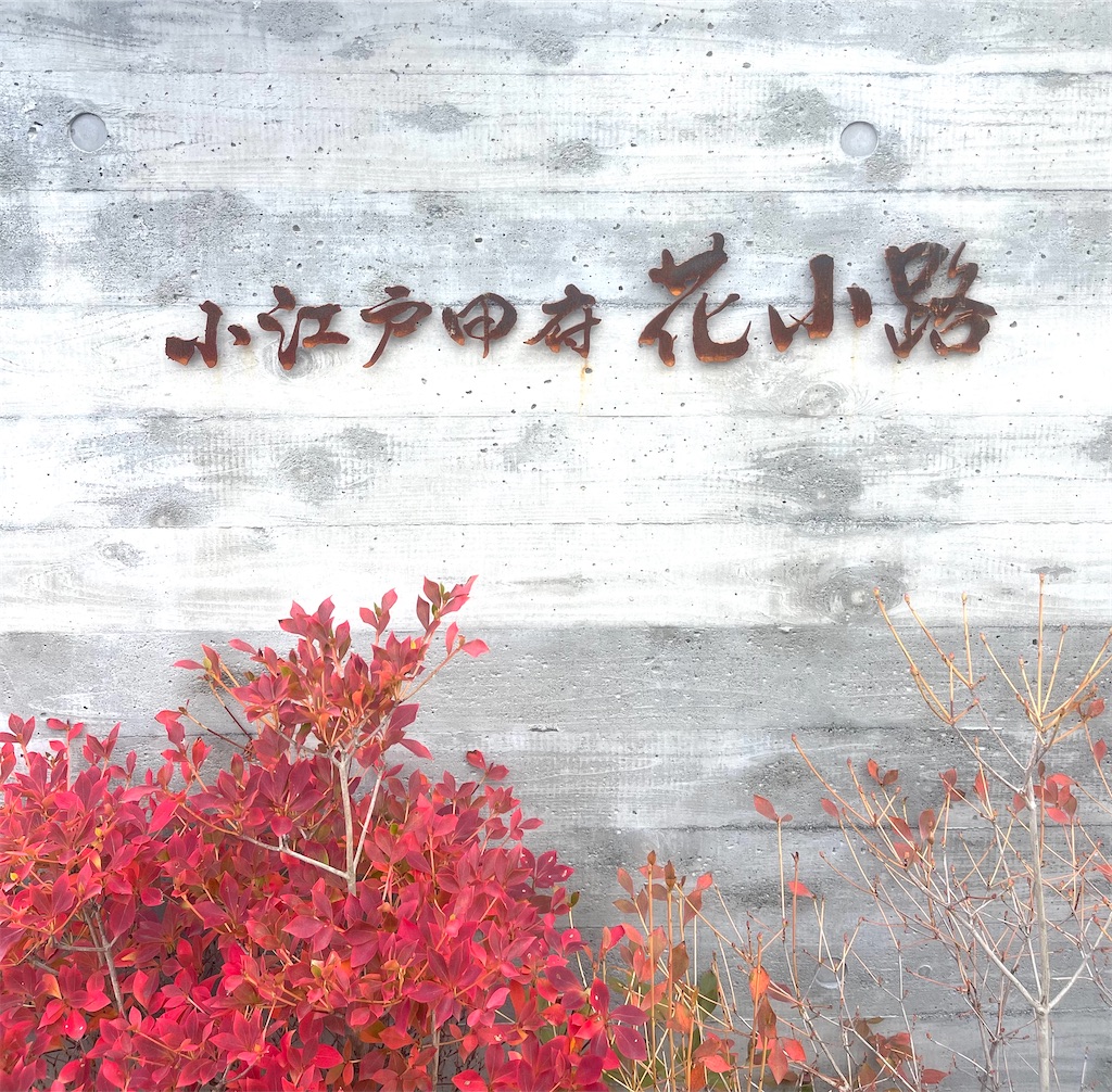 f:id:mlc510:20260302071630j:image
