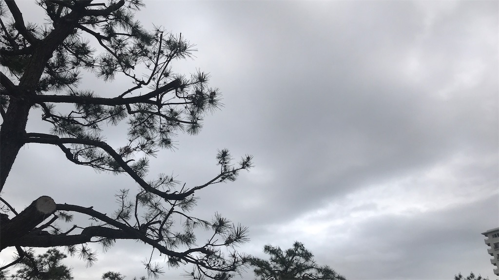 f:id:mlittle:20210424084633j:plain