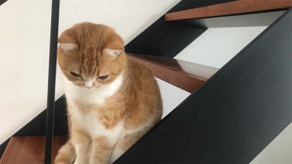 f:id:mlittle:20210424084637j:plain