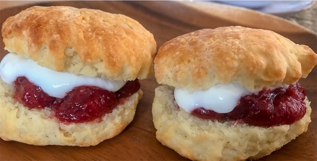 f:id:mlittle:20210424085127j:plain