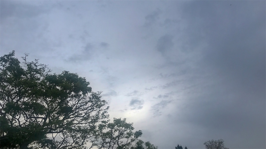 f:id:mlittle:20210507060441j:plain